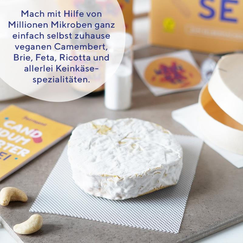 Bio Edelschimmel Candidum vegan - Image 2