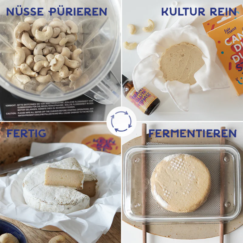 Bio Edelschimmel Candidum vegan - Image 3
