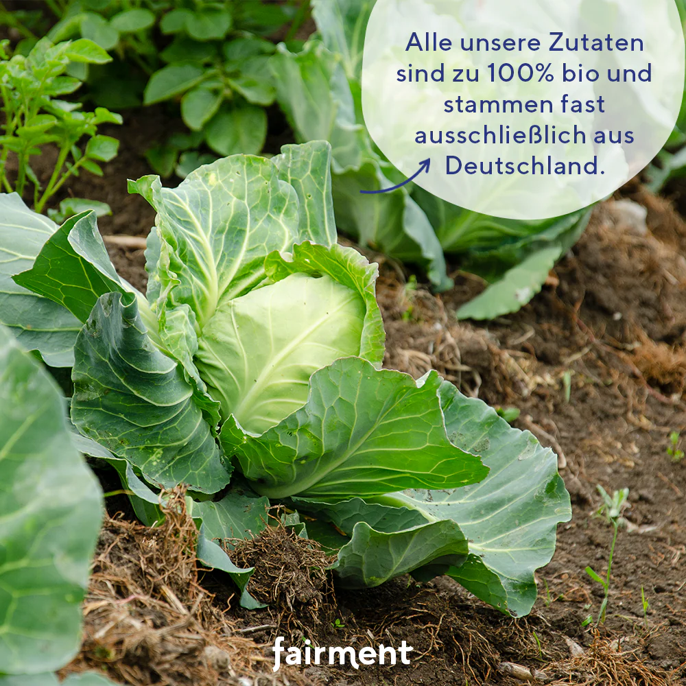 Bio Kultur-Kimchi vegan - Image 4