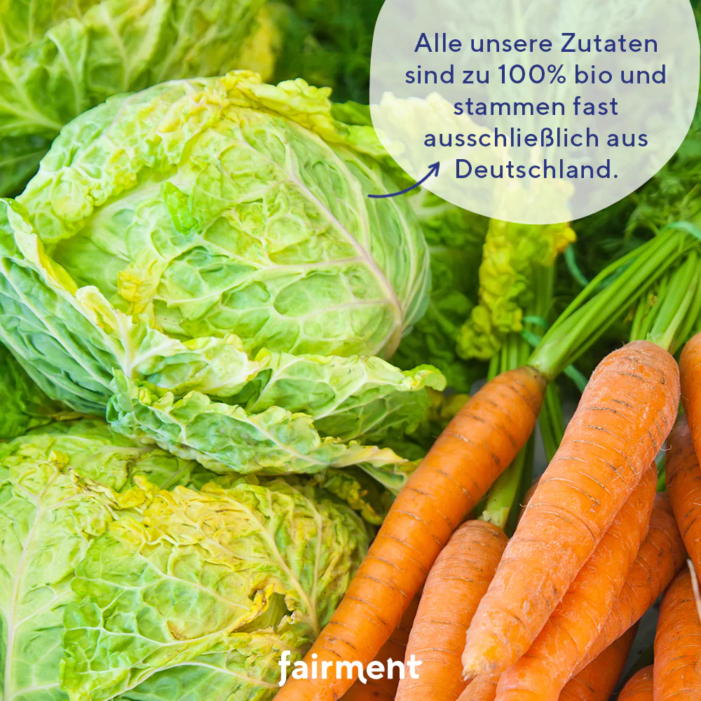 Bio Kultur-Kraut Gold - Image 4