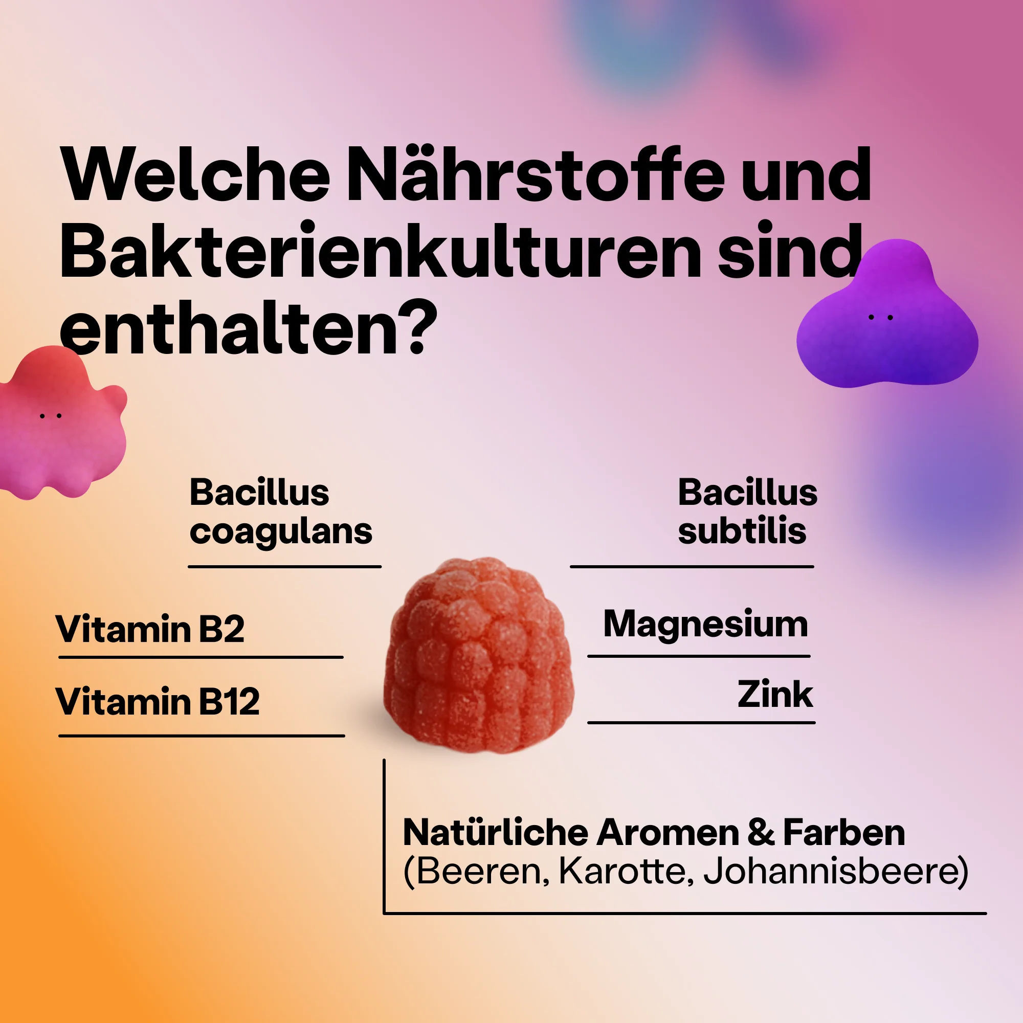 TummyGummies® – Premium Biotika für die ganze Familie - Image 8