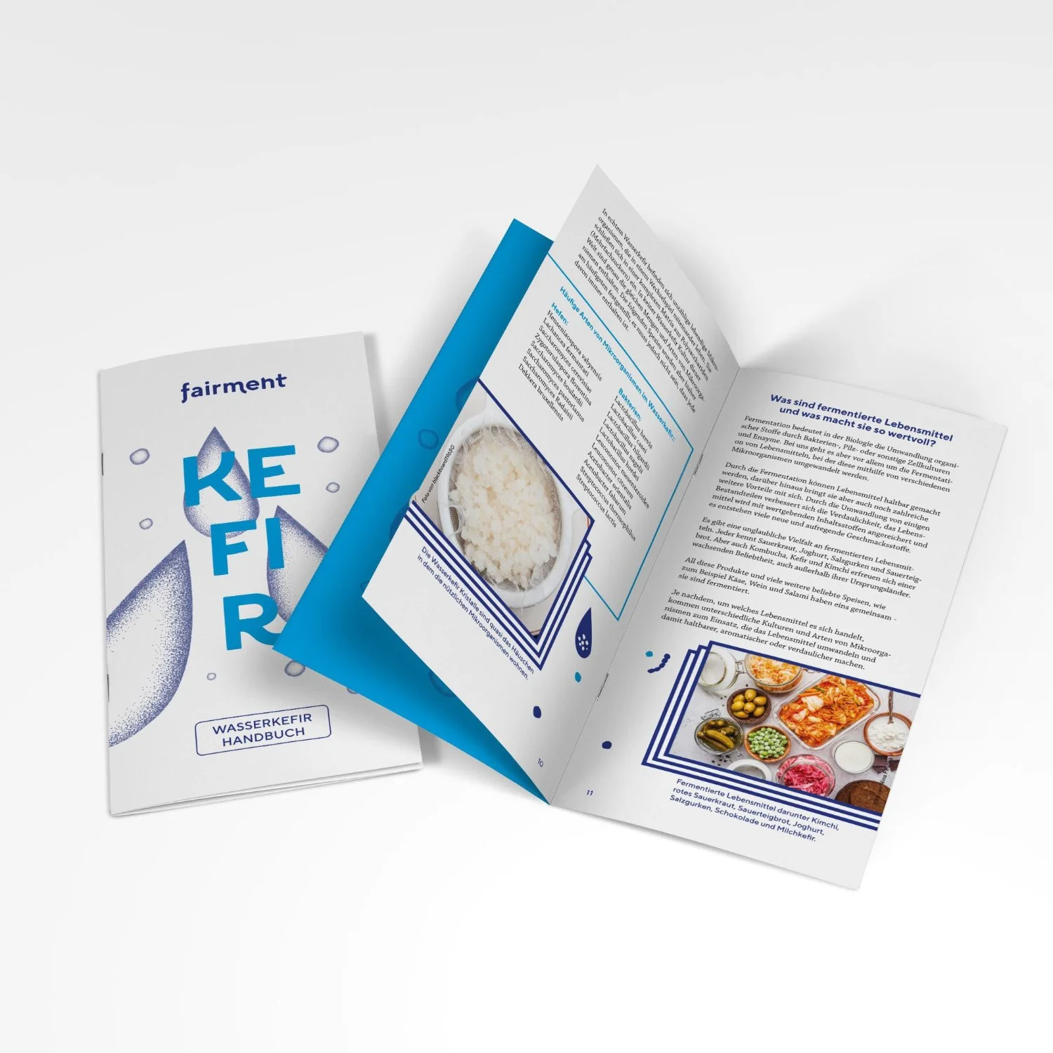 Wasserkefir Starter Kit - Bio Wasserkefir selber machen - Image 3