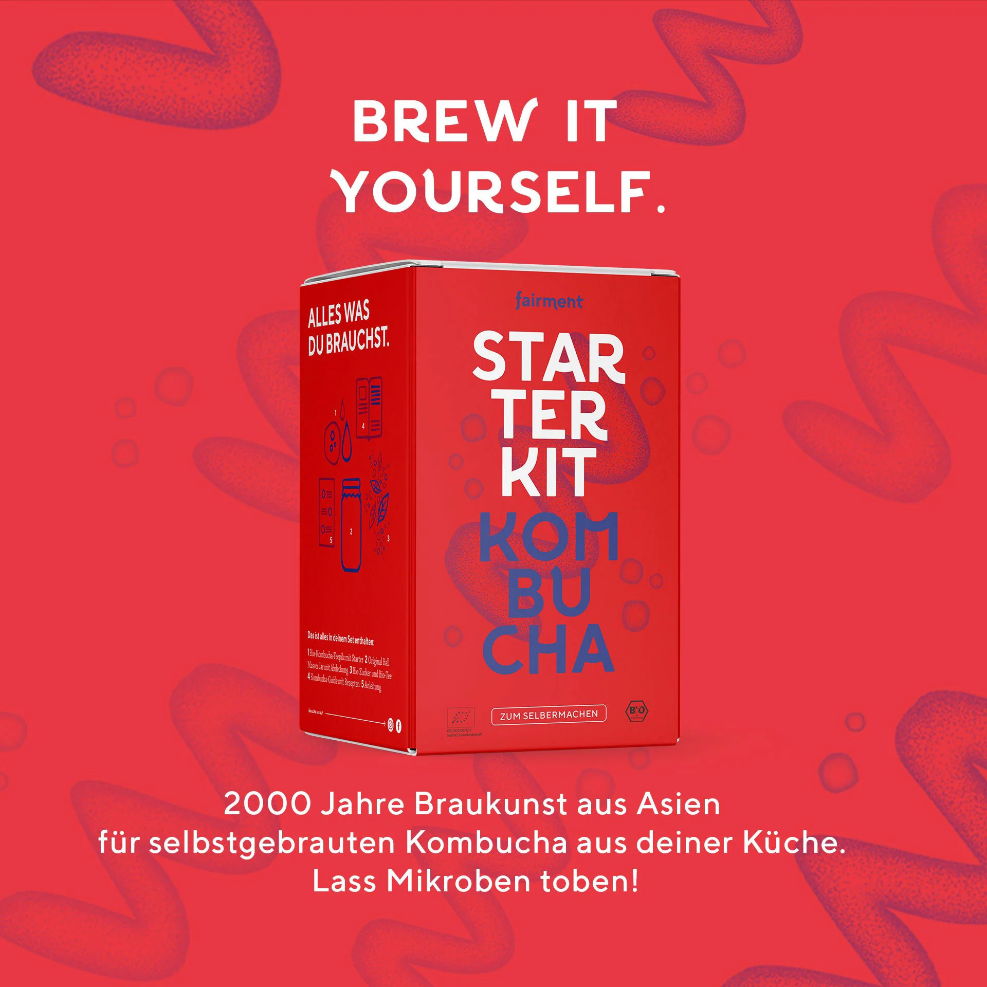 Kombucha Starter Kit - Bio Kombucha selber machen - Image 5