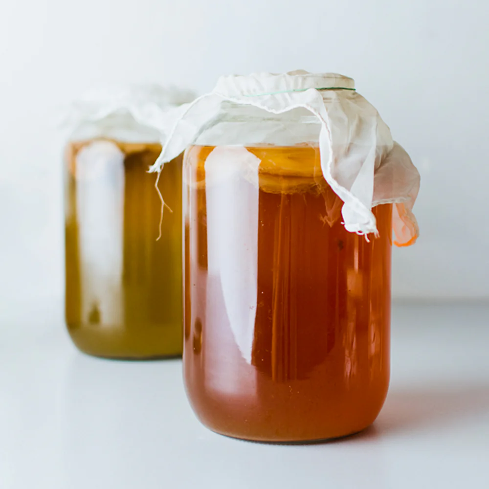 Bio Kombucha Pilz mit Starterflüssigkeit (250 ml) - Image 6