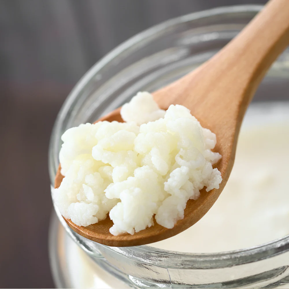 Bio Milchkefir Knollen (10 g) - Image 3