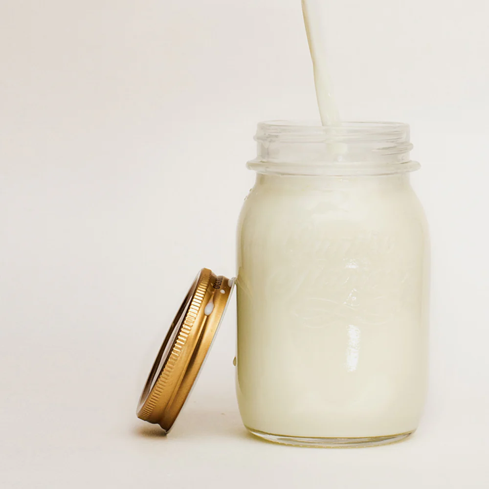 Bio Milchkefir Knollen (10 g) - Image 5