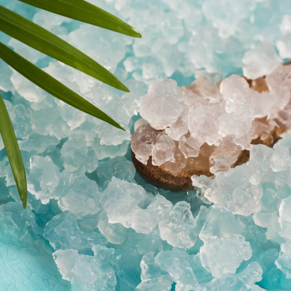 Bio Wasserkefir Kristalle (30 g) - Image 3